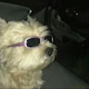 Meet your Posher, Adeya